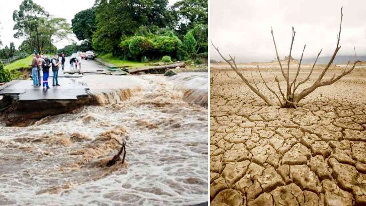 রাজনীতির বাজারে পরিবেশ চিরকালই দুয়োরাণী